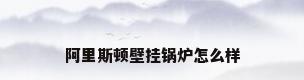 阿里斯顿壁挂锅炉怎么样
