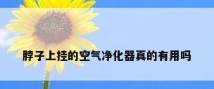 脖子上挂的空气净化器真的有用吗