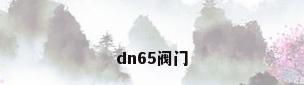 dn65阀门