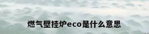 燃气壁挂炉eco是什么意思