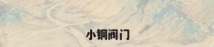 小铜阀门