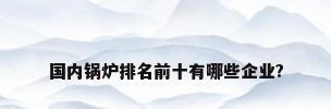 国内锅炉排名前十有哪些企业?
