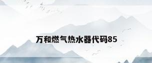 万和燃气热水器代码85