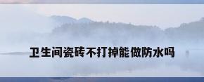 卫生间瓷砖不打掉能做防水吗