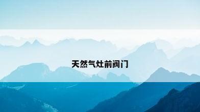 天然气灶前阀门