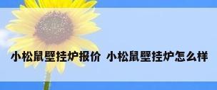 小松鼠壁挂炉报价 小松鼠壁挂炉怎么样