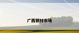 广西钢材市场