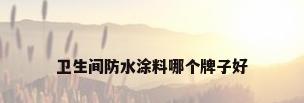 卫生间防水涂料哪个牌子好