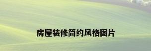 房屋装修简约风格图片