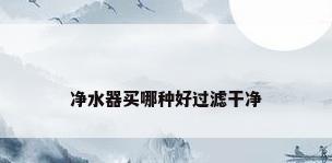 净水器买哪种好过滤干净