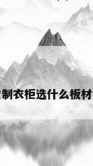 定制衣柜选什么板材好