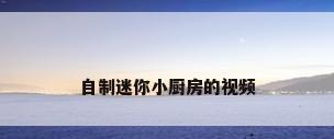自制迷你小厨房的视频