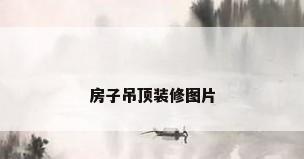 房子吊顶装修图片