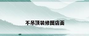 不吊顶装修图店面