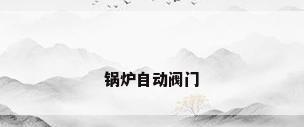 锅炉自动阀门