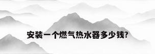安装一个燃气热水器多少钱?