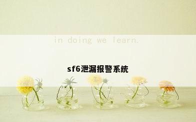 sf6泄漏报警系统