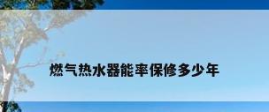 燃气热水器能率保修多少年