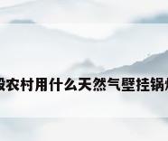 一般农村用什么天然气壁挂锅炉好