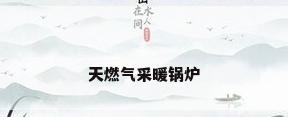 天燃气采暖锅炉