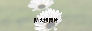 防火板图片