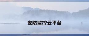 安防监控云平台