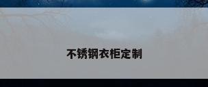 不锈钢衣柜定制