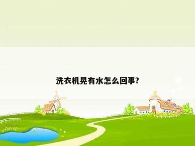 洗衣机晃有水怎么回事?