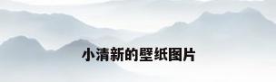 小清新的壁纸图片