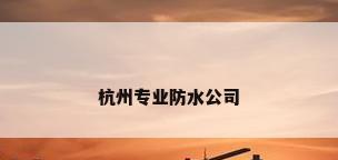杭州专业防水公司