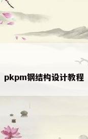 pkpm钢结构设计教程