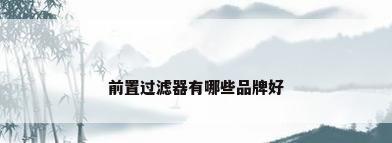 前置过滤器有哪些品牌好