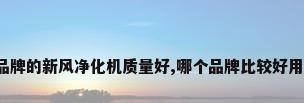 谁品牌的新风净化机质量好,哪个品牌比较好用啊?