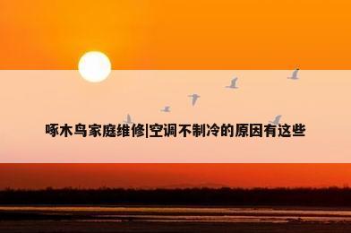 啄木鸟家庭维修|空调不制冷的原因有这些