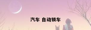 汽车 自动锁车