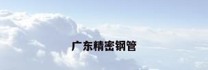 广东精密钢管