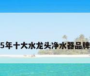 2025年十大水龙头净水器品牌排名