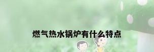 燃气热水锅炉有什么特点