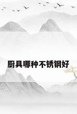 厨具哪种不锈钢好