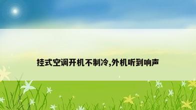 挂式空调开机不制冷,外机听到响声