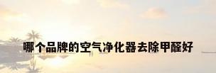 哪个品牌的空气净化器去除甲醛好