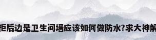 衣柜后边是卫生间墙应该如何做防水?求大神解答