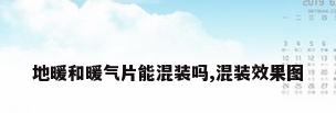 地暖和暖气片能混装吗,混装效果图