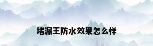 堵漏王防水效果怎么样