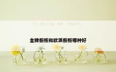 金牌橱柜和欧派橱柜哪种好