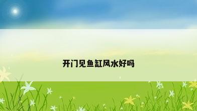 开门见鱼缸风水好吗