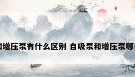 自吸泵和增压泵有什么区别 自吸泵和增压泵哪个效果好
