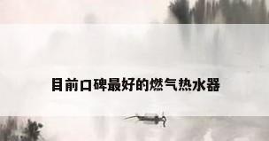 目前口碑最好的燃气热水器