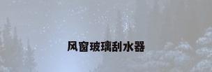 风窗玻璃刮水器