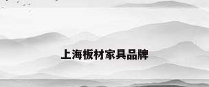 上海板材家具品牌